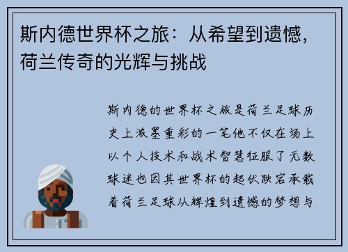 斯内德世界杯之旅：从希望到遗憾，荷兰传奇的光辉与挑战